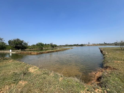 Water Literacy Initiative